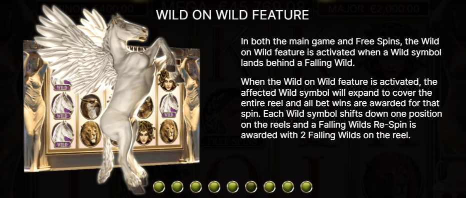 Wild on Wild Feature